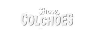 Atualizada_Prancheta 1 cópia 7
